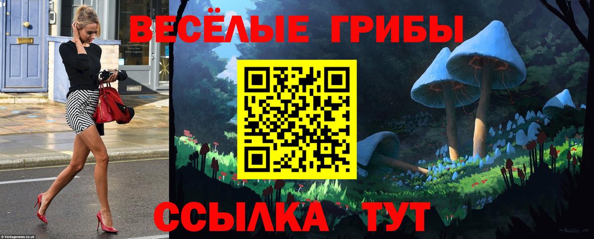 Псилоцибиновые грибы прущие грибы Новочеркасск