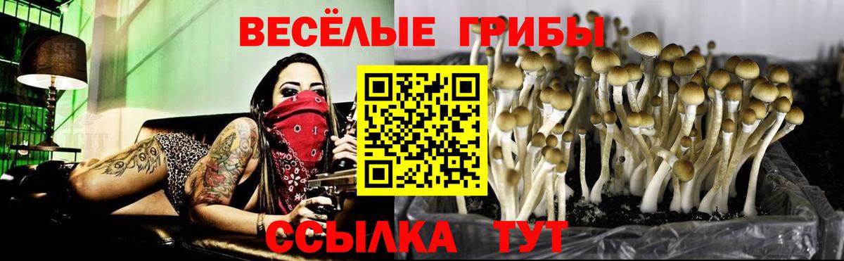 Галлюциногенные грибы Cubensis  Вход с VPN  Новочеркасск  Галлюциногенные грибы мухоморы 